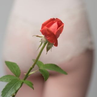 女性の下着姿の背景に１本の赤いバラ